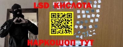 крисы Кингисепп