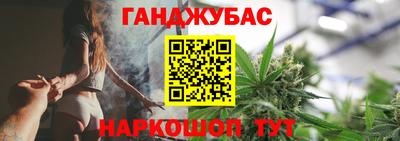 крисы Кингисепп