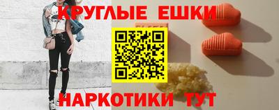 крисы Кингисепп