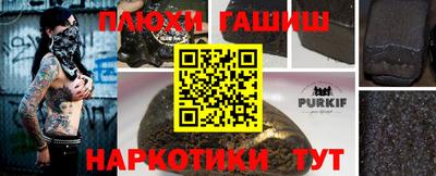 крисы Кингисепп