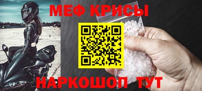 крисы Кингисепп