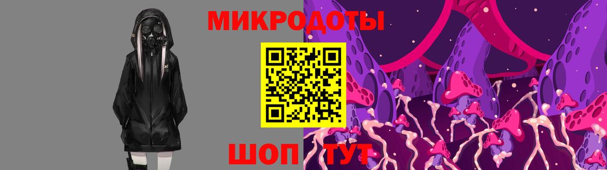 Псилоцибиновые грибы Psilocybe Валуйки